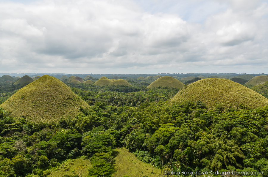 Филиппины, Бохоль, Шоколадные холмы (Philippines, Bohol, Chocolate Hills)